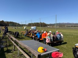 whatsapp image 2026-03-29 at 10.10.17 1